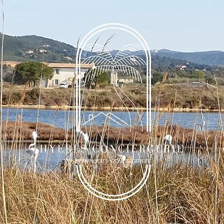 Appartement Les Salins - Rez De Jardin-plage Clim Wifi Parking By Hc Hyères